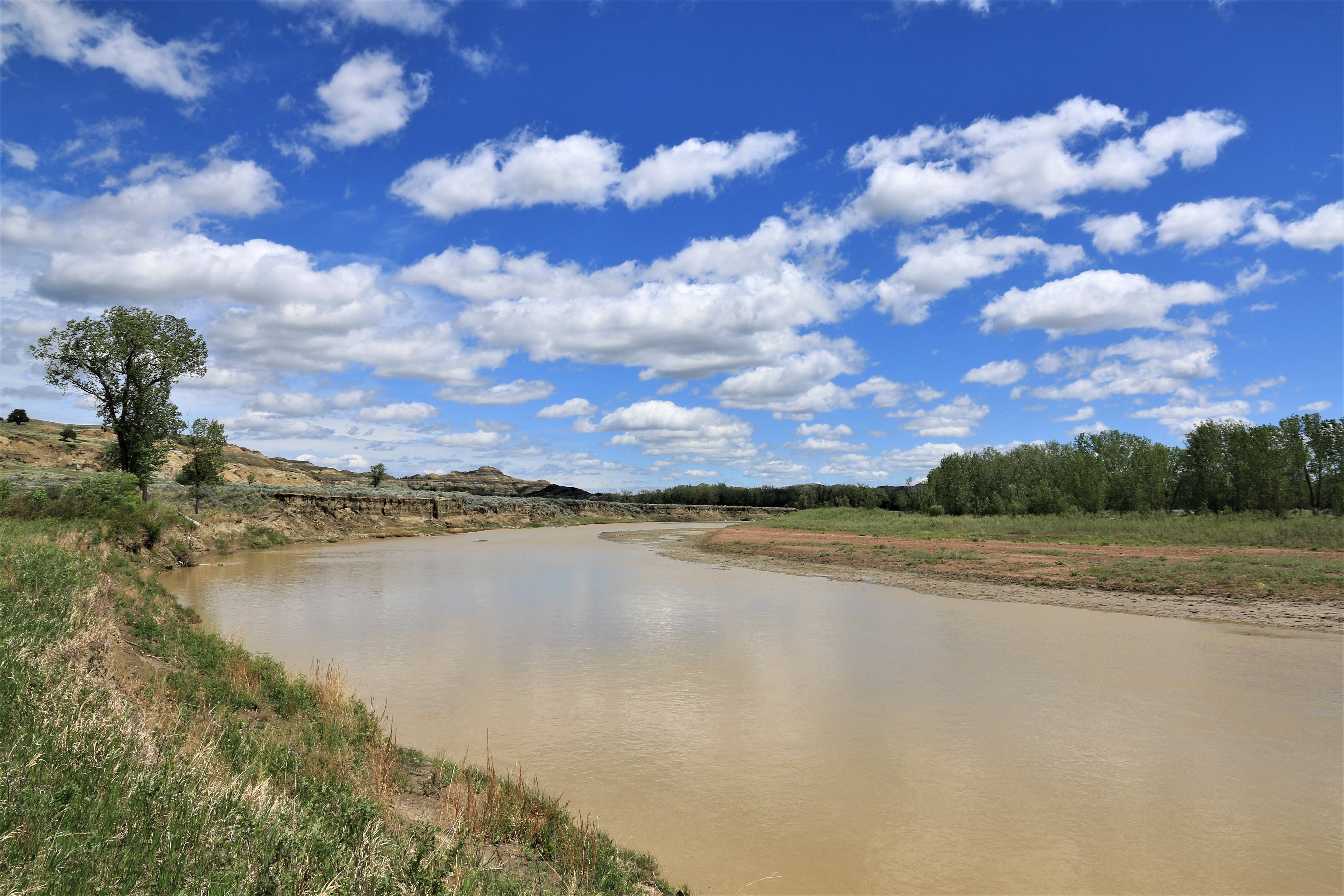 Theodore Roosevelt NP